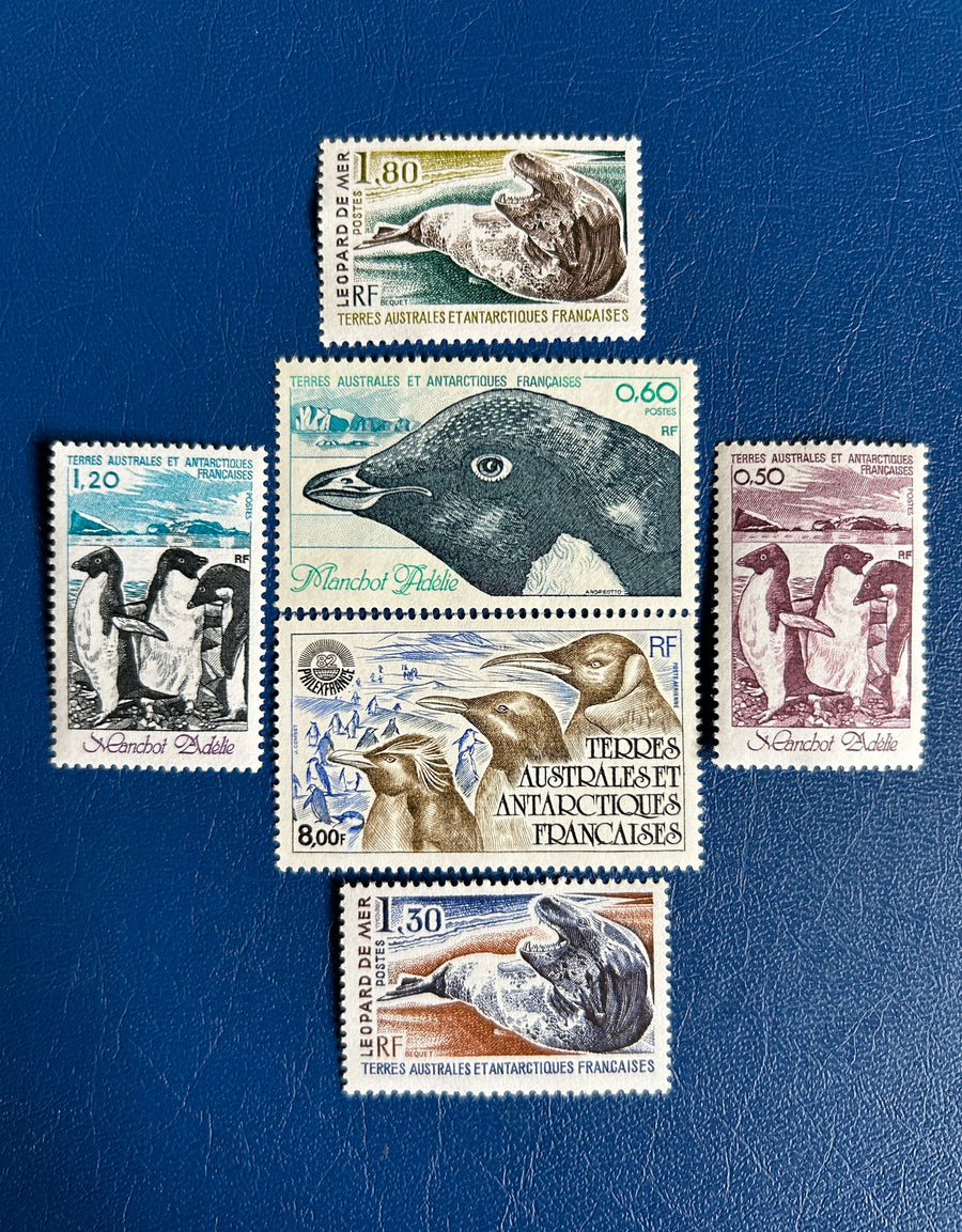 French Southern & Antarctic Lands - Original Vintage Postage Stamps- 1980/82 - Penguins, Sea Lions - for the collector, artist or crafter