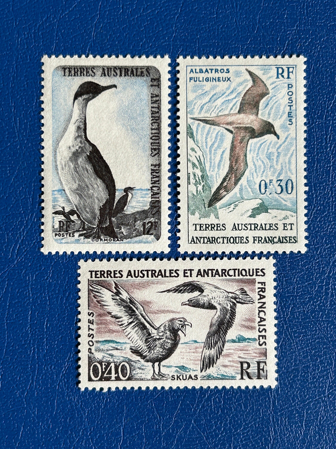 French Southern & Antarctic Lands - Original Vintage Postage Stamps- 1959 - Birds - for the collector, artist or crafter