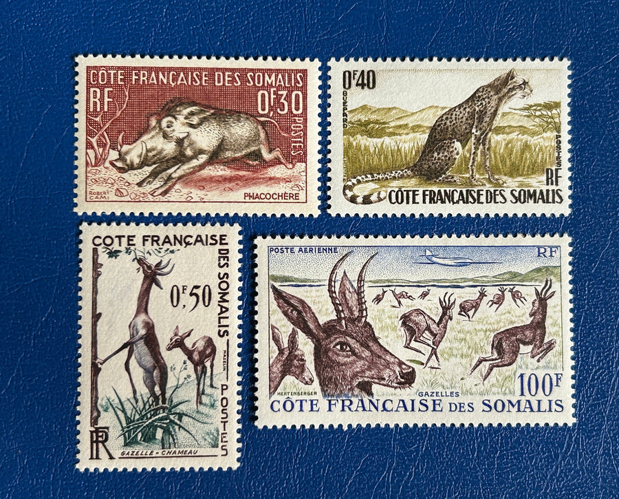 French Somali Coast - Original Vintage Postage Stamps- 1958 - Fauna/ Airmail - for the collector, artist or crafter