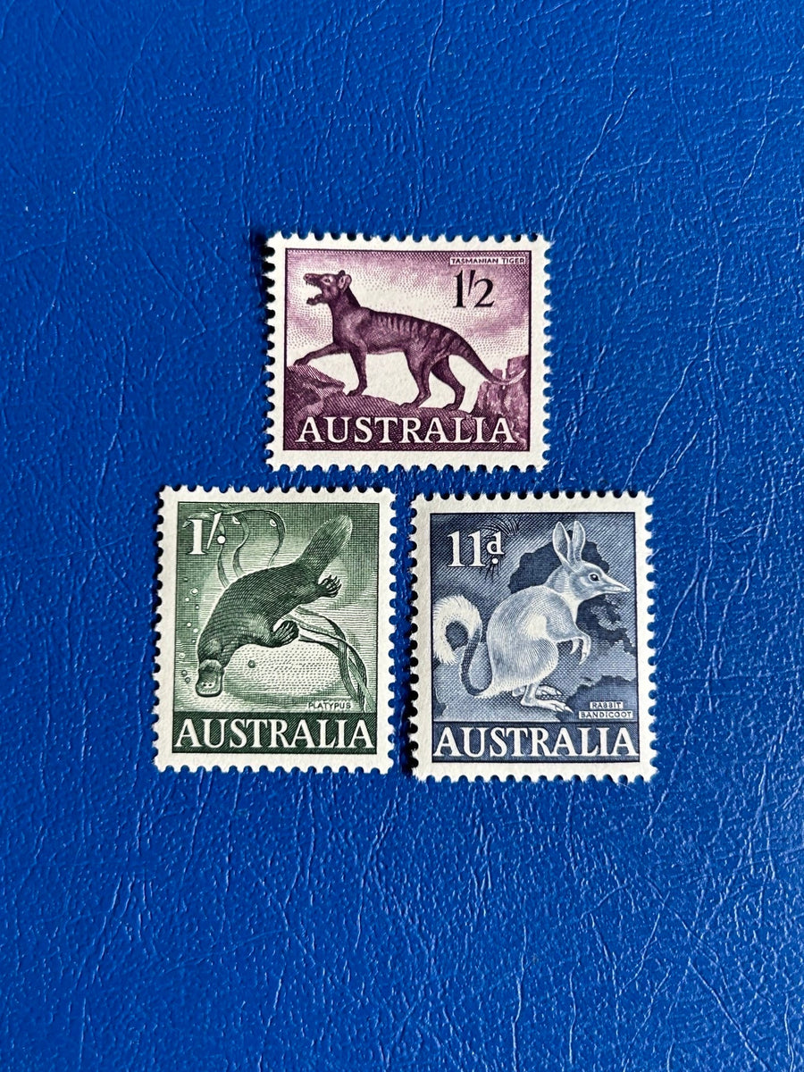 Australia - Original Vintage Postage Stamps - 1962 - Fauna - for the collector, artist or crafter