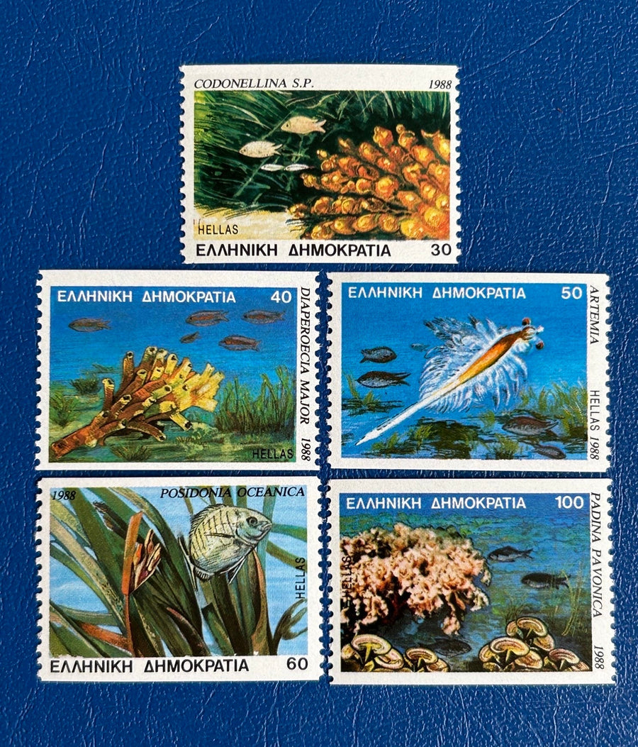 Greece - Original Vintage Postage Stamps- 1988 - Sea Life - for the collector, artist or collector