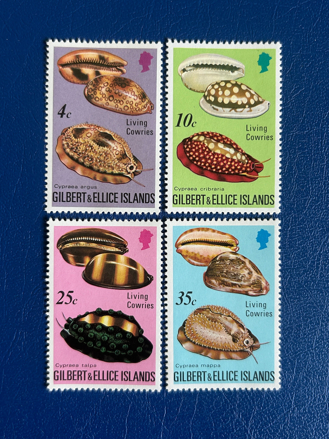 Gilbert & Ellice Islands - Original Vintage Postage Stamps - 1975 - Living Cowries - for the collector, artist or crafter
