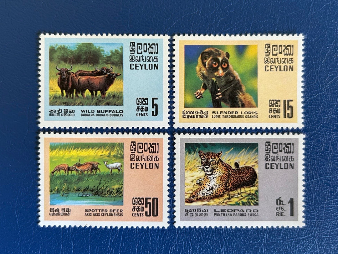 Ceylon - Original Vintage Postage Stamps- 1970 - Wild Animals - for the collector, artist or collector - scrapbooks, decoupage