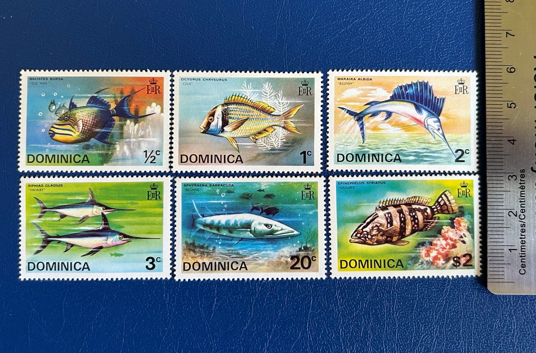 Dominica - Original Vintage Postage Stamps - 1975 - Fish - for the collector, artist or crafter