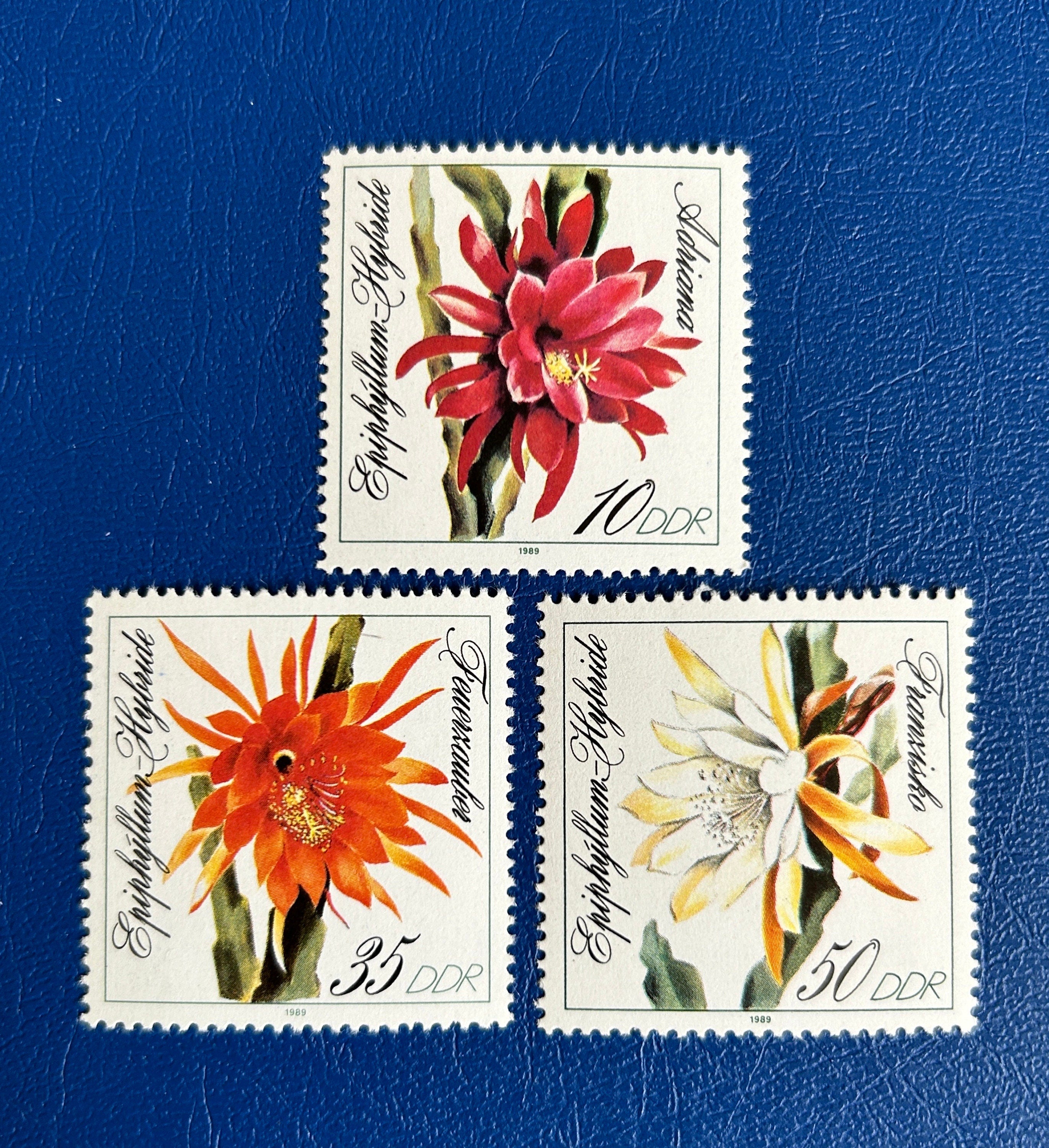 Post Stamp Ridge Germany (DDR) - Original Vintage Postage Stamps- 1989 Leaf Cactus Vari ...