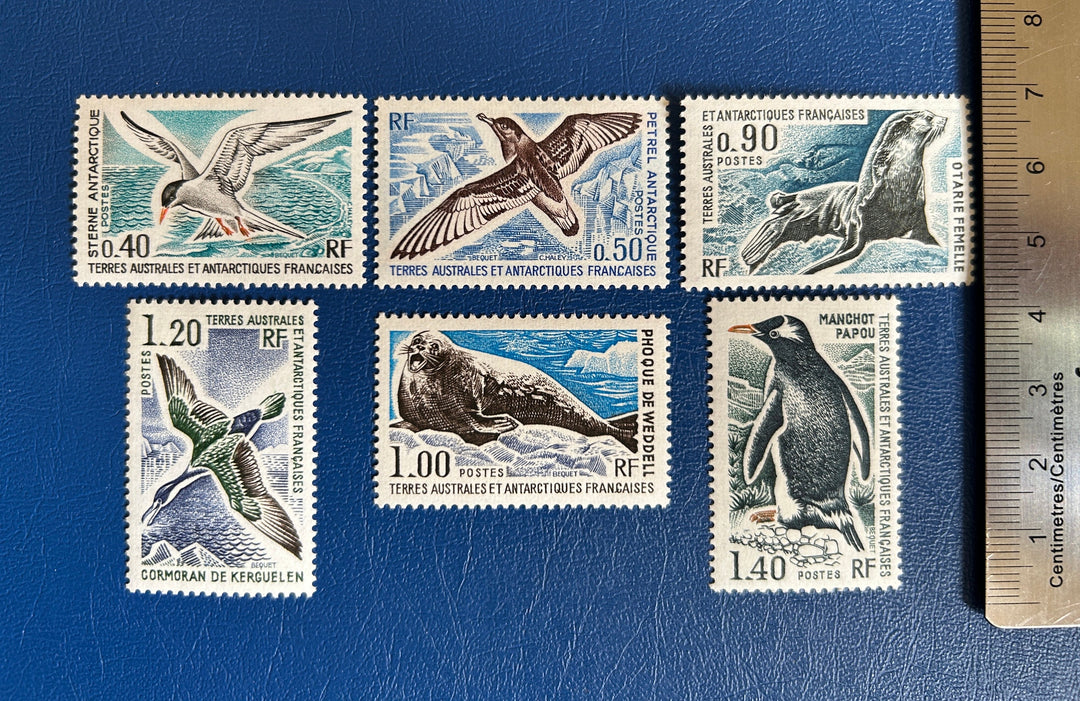 French Southern & Antarctic Lands - Original Vintage Postage Stamps- 1976 - Fauna - for the collector, artist or crafter