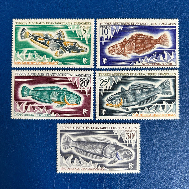 French Southern & Antarctic Lands - Original Vintage Postage Stamps- 1971 - Fish - for the collector, artist or crafter