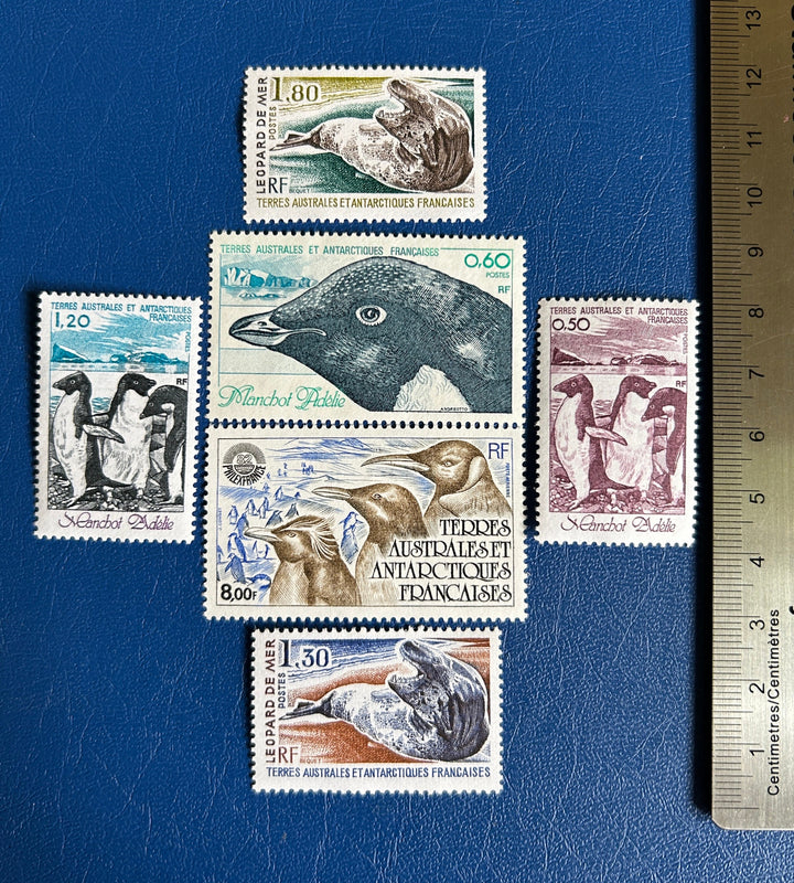 French Southern & Antarctic Lands - Original Vintage Postage Stamps- 1980/82 - Penguins, Sea Lions - for the collector, artist or crafter