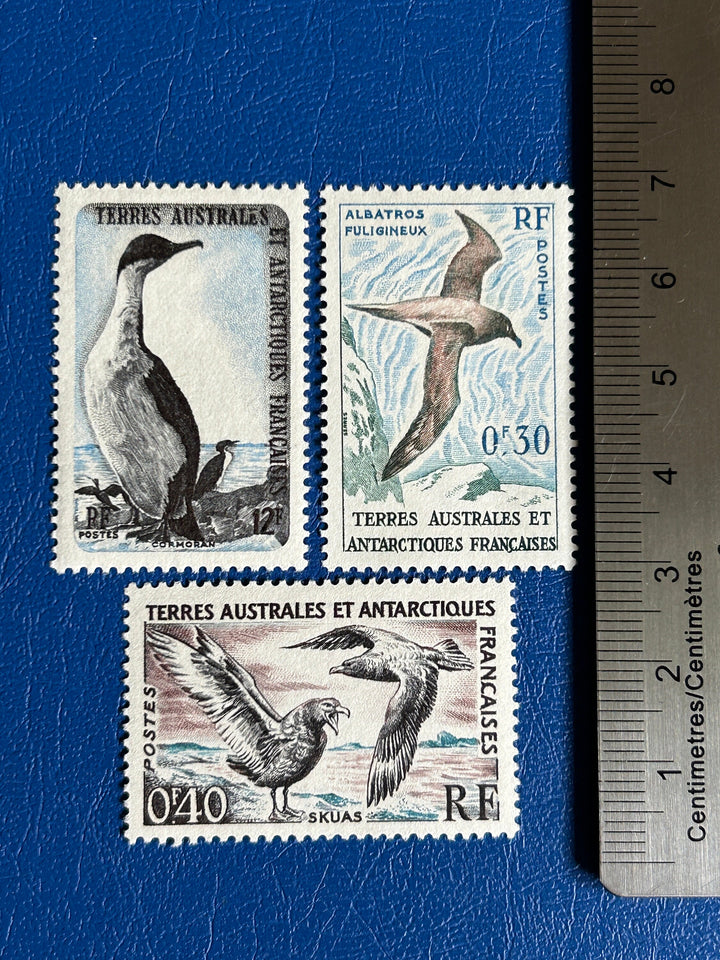 French Southern & Antarctic Lands - Original Vintage Postage Stamps- 1959 - Birds - for the collector, artist or crafter