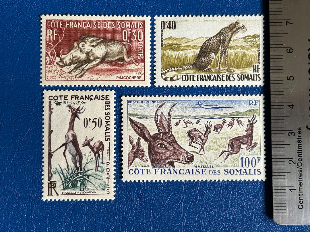 French Somali Coast - Original Vintage Postage Stamps- 1958 - Fauna/ Airmail - for the collector, artist or crafter
