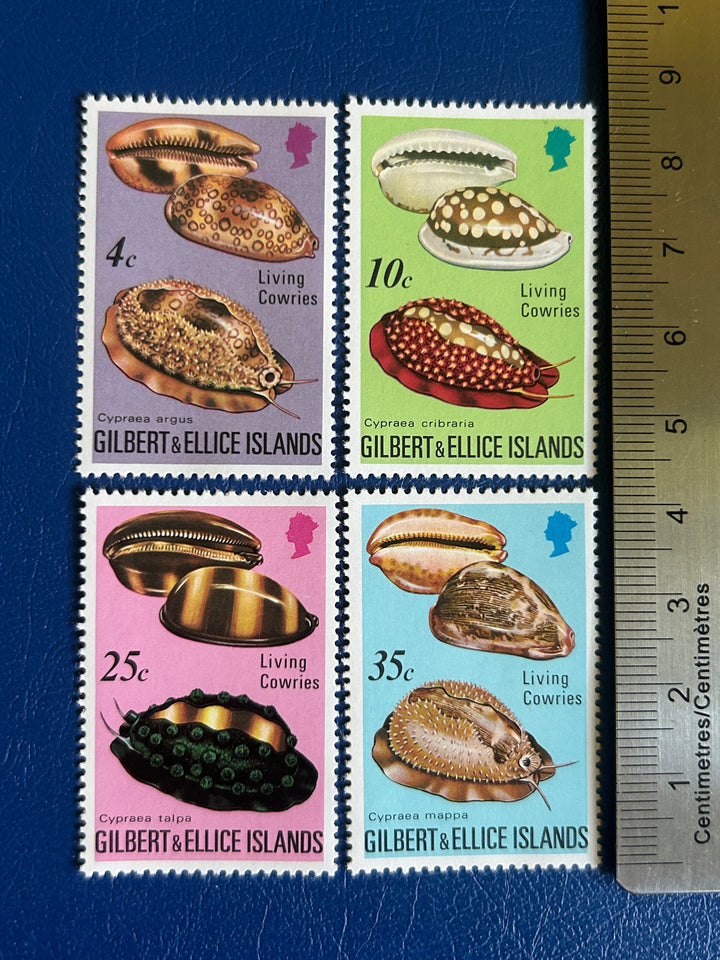 Gilbert & Ellice Islands - Original Vintage Postage Stamps - 1975 - Living Cowries - for the collector, artist or crafter