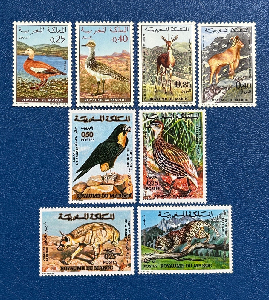 Morocco - Original Vintage Postage Stamps- 1970-74 - Fauna - for the collector, artist or crafter