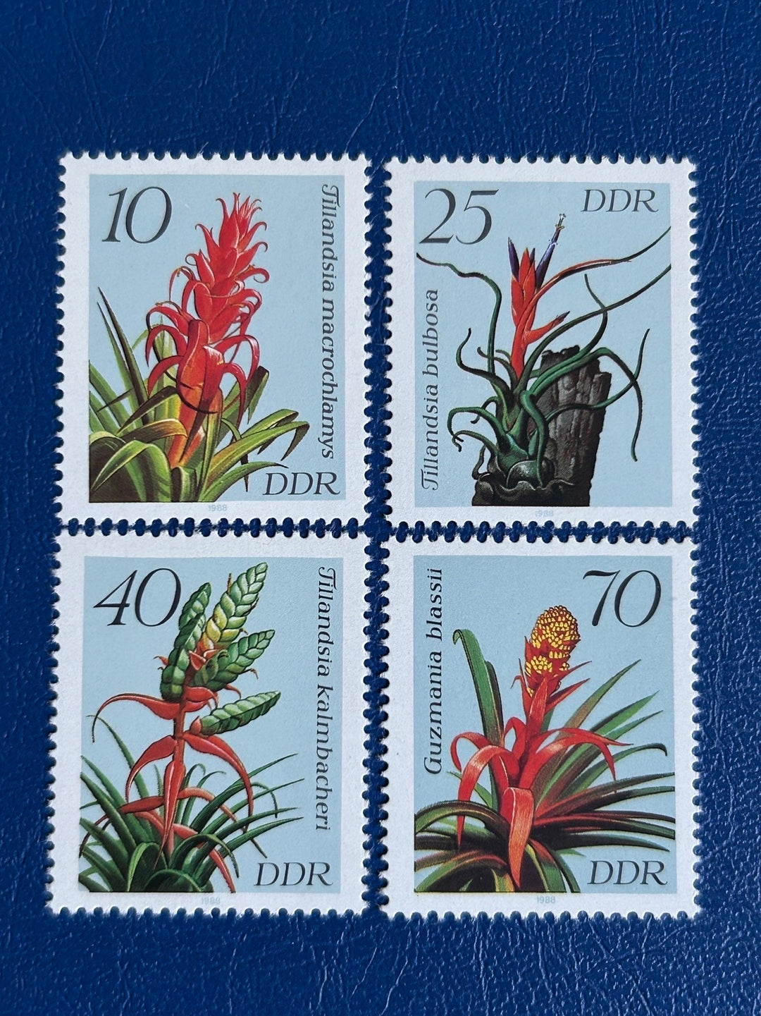 Germany (DDR) - Original Vintage Postage Stamps- 1988 - Bromeliads - for the collector, artist or crafter