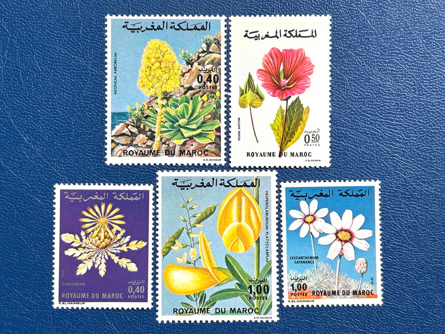 Morocco - Original Vintage Postage Stamps- 1977-79 - Flowers - for the collector, artist or crafter