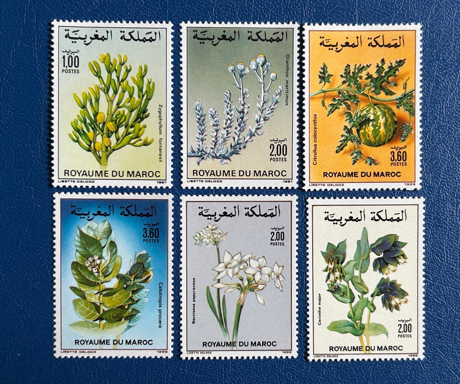 Morocco - Original Vintage Postage Stamps- 1987-89 - Flowers - for the collector, artist or crafter