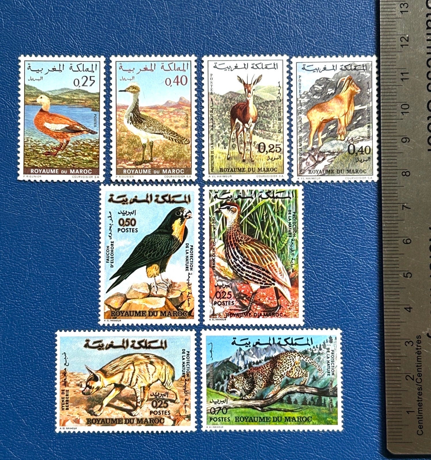 Morocco 1970 Fauna Series: Addax