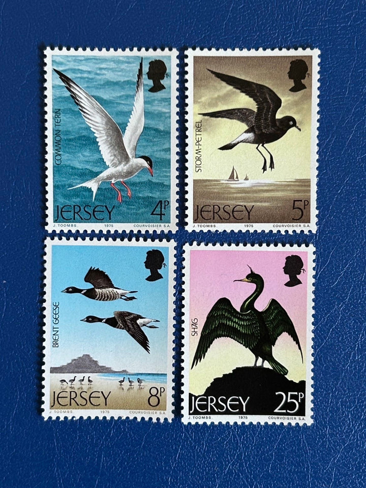 Jersey - Original Vintage Postage Stamps - 1975 - Sea Birds - for the collector, artist or crafter