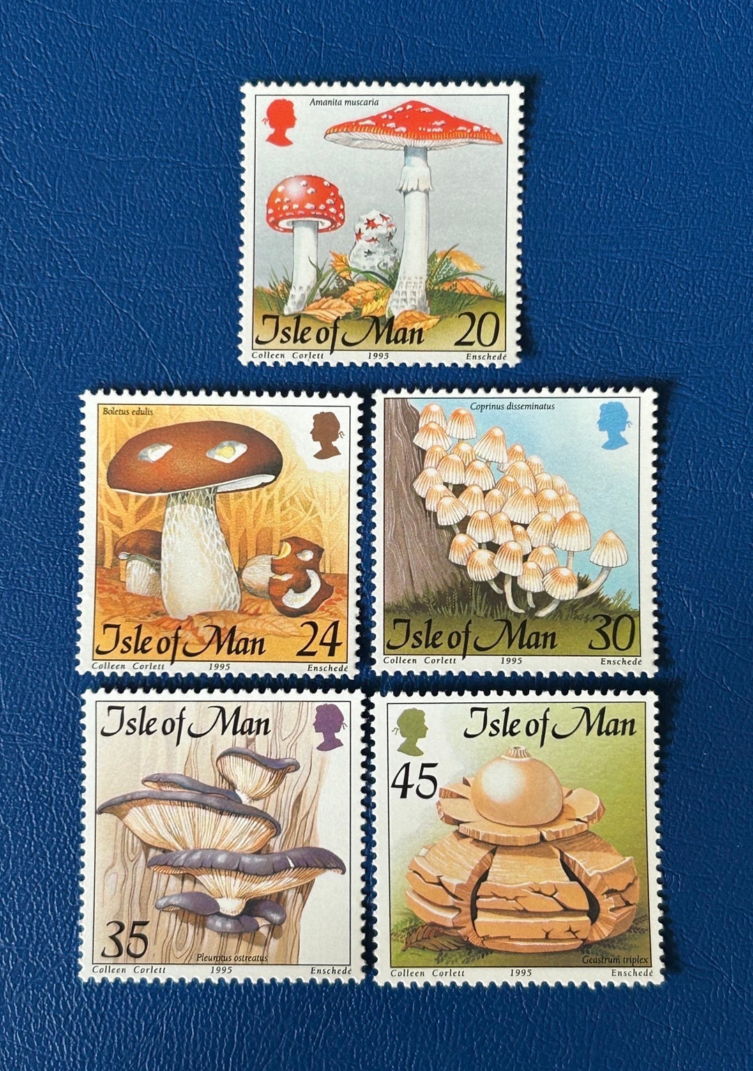 Isle of Man - Original Vintage Postage Stamps - 1995 - Mushrooms - for the collector, artist or crafter