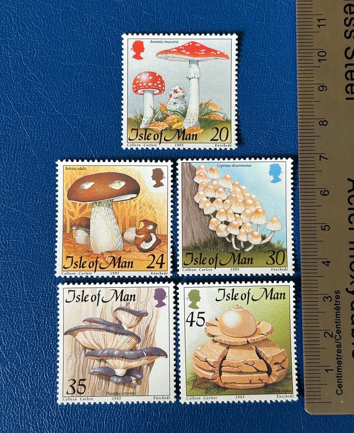 Isle of Man - Original Vintage Postage Stamps - 1995 - Mushrooms - for the collector, artist or crafter