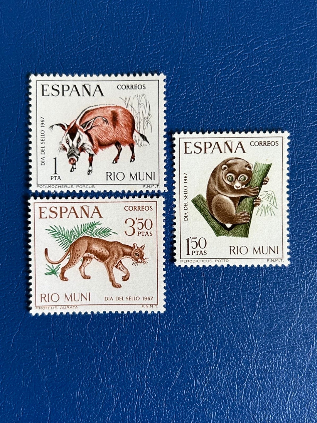 Sp. Rio Muni- Original Vintage Postage Stamps- 1967 - Stamp Day: Fauna - for the collector, artist, crafter