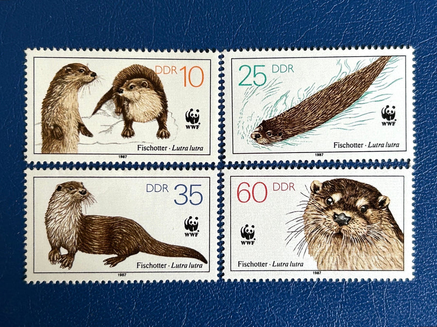 Germany (DDR) - Original Vintage Postage Stamps- 1987 Otters- for the collector, artist or crafter