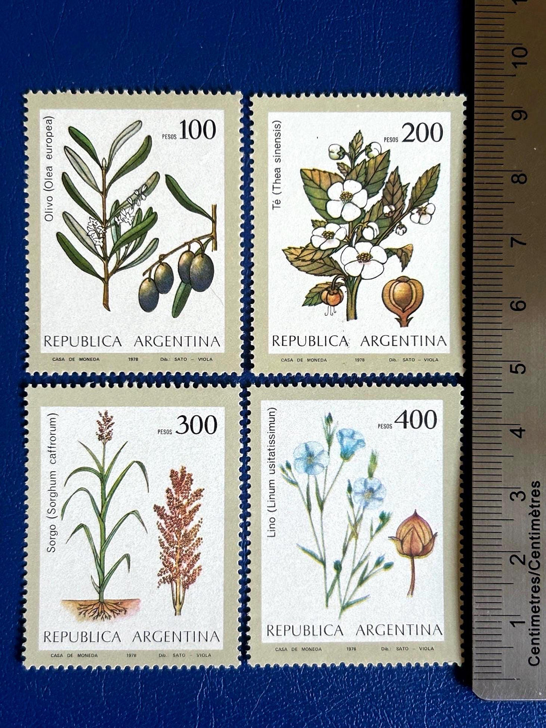 Argentina - Original Vintage Postage Stamps- 1979 Agricultural Plants - for the collector, artist or crafter