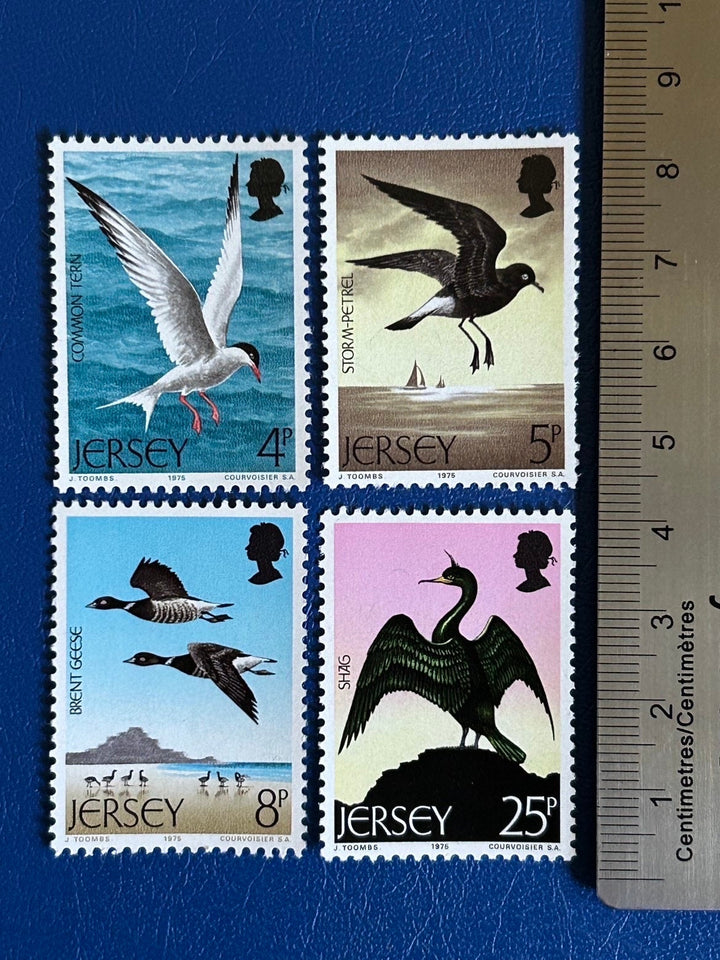 Jersey - Original Vintage Postage Stamps - 1975 - Sea Birds - for the collector, artist or crafter