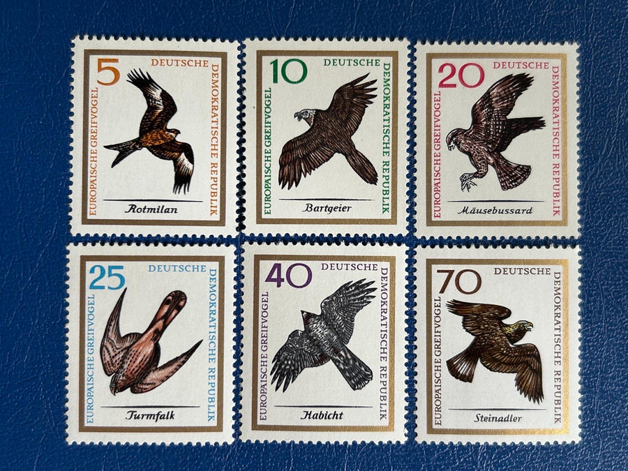 Germany (DDR) - Original Vintage Postage Stamps- 1965 - Birds of Prey - for the collector, artist or crafter