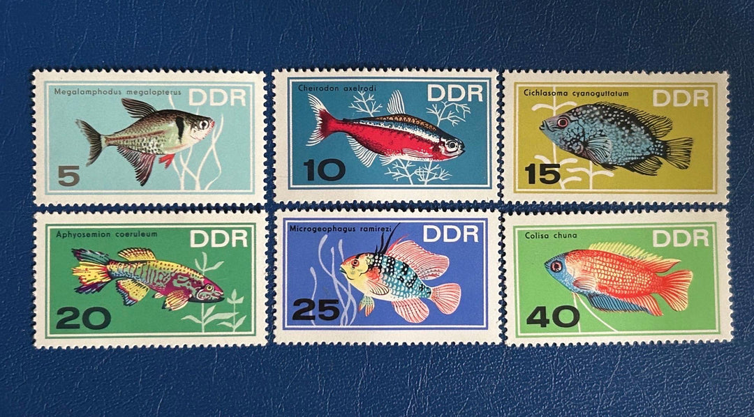 Germany (DDR) - Original Vintage Postage Stamps- 1966 - Aquarium Fish - for the collector, artist or crafter