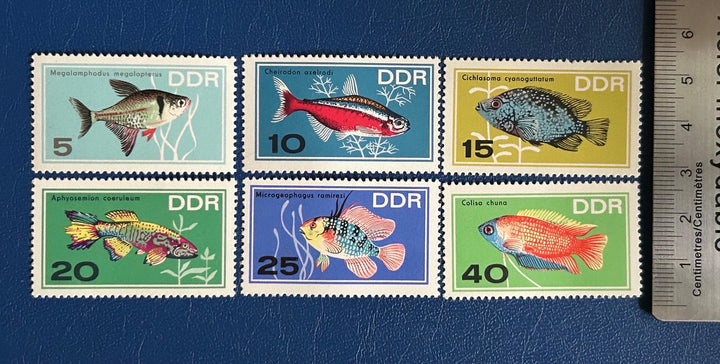 Germany (DDR) - Original Vintage Postage Stamps- 1966 - Aquarium Fish - for the collector, artist or crafter