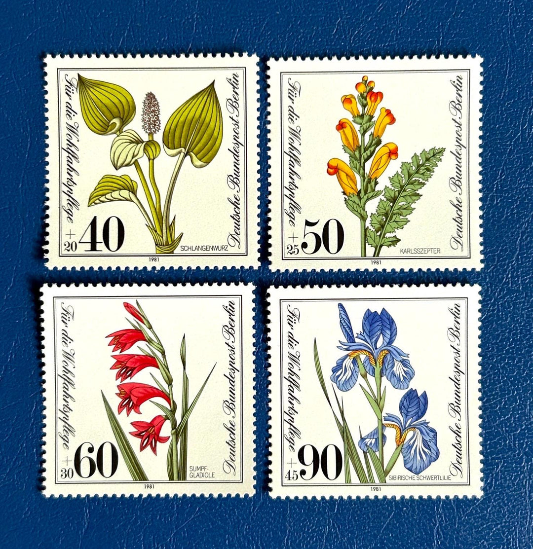 Germany (Berlin) - Original Vintage Postage Stamps - 1981 - Endangered Wild Flowers - for the collector, artist or crafter