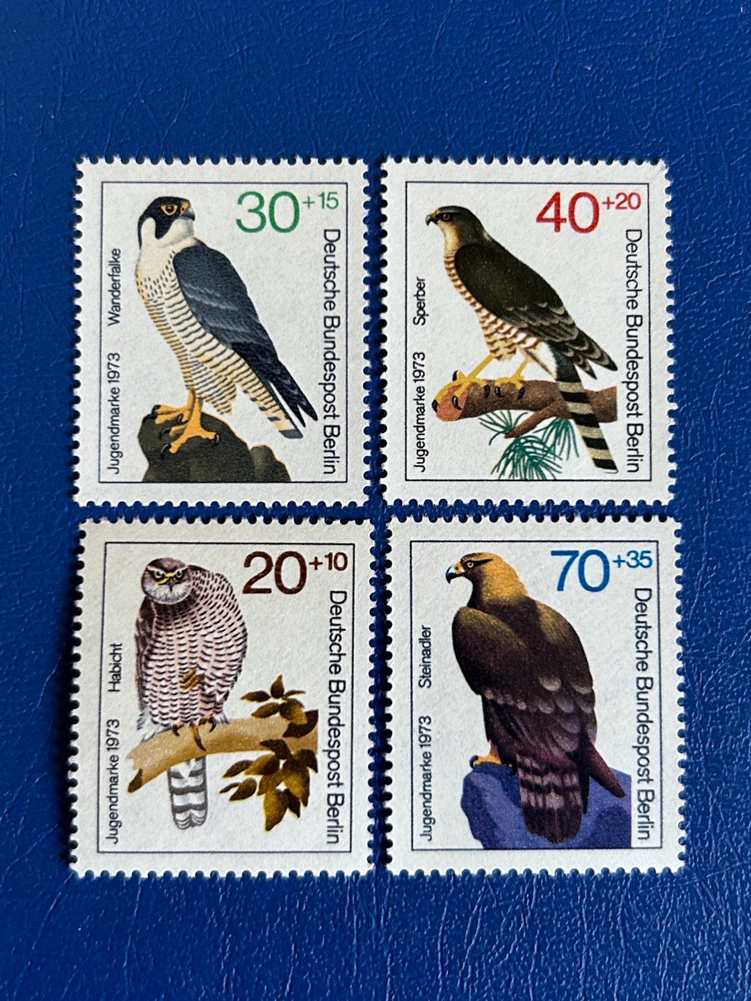 Germany (Berlin) - Original Vintage Postage Stamps - 1973 - Birds of Prey - for the collector, artist or crafter