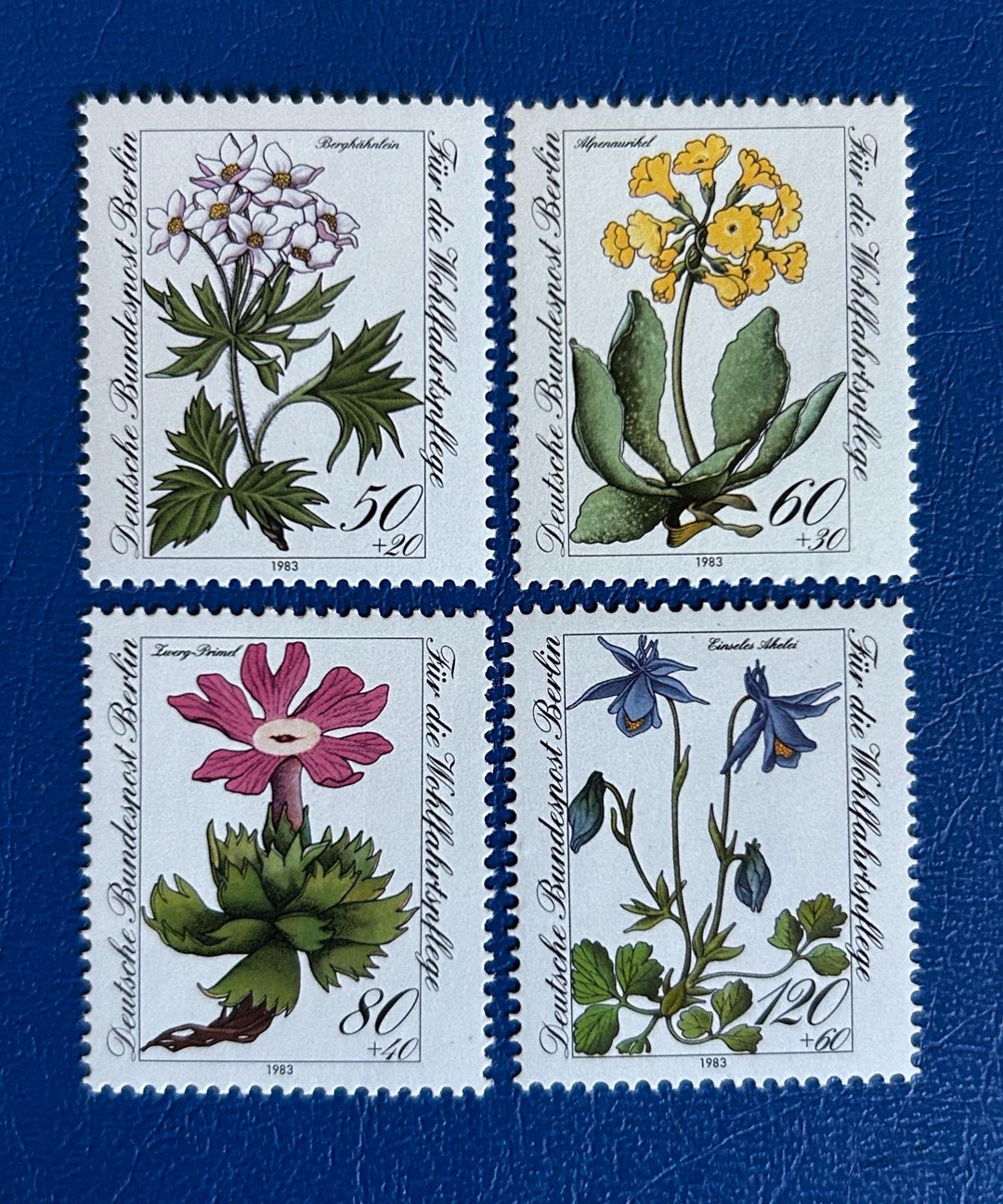 Germany (Berlin) - Original Vintage Postage Stamps - 1983 - Alpine Flowers - for the collector, artist or crafter