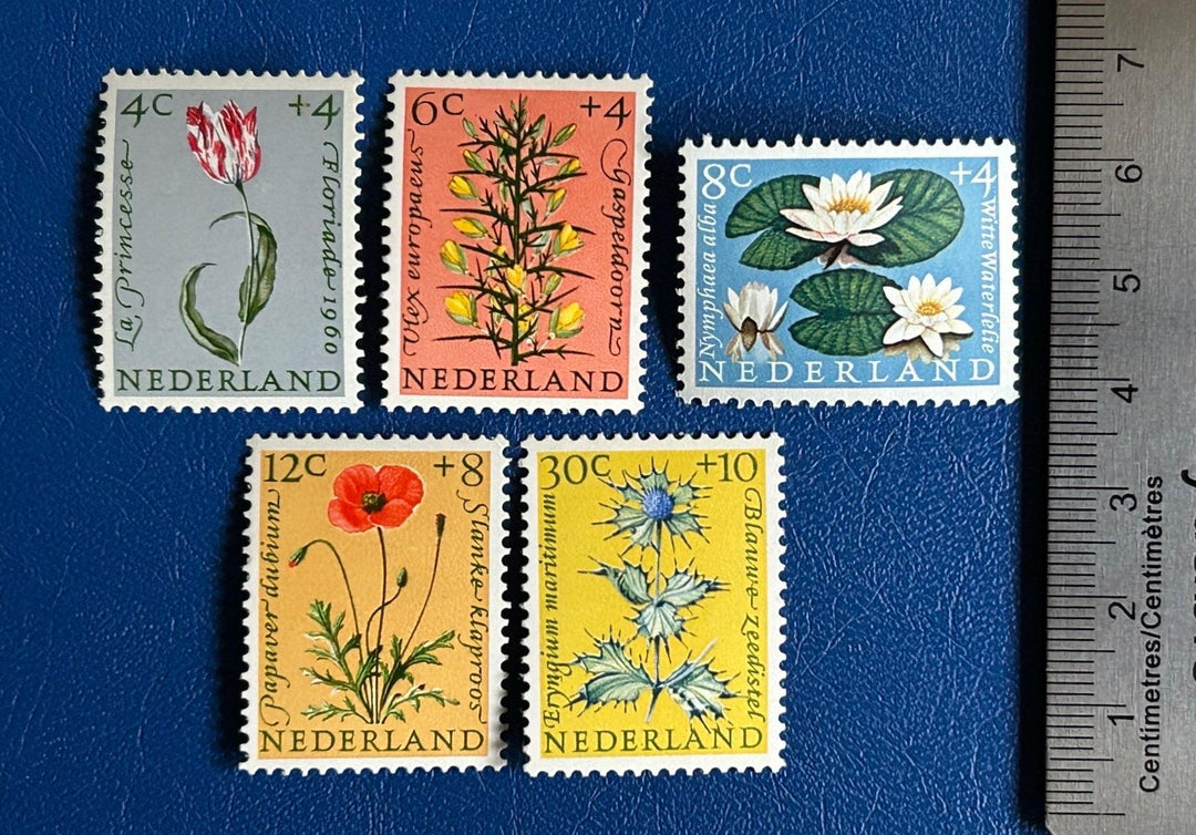 Netherlands - Original Vintage Postage Stamps- 1960 - Flowers - for the collector, artist, crafter - scrapbook, decoupage
