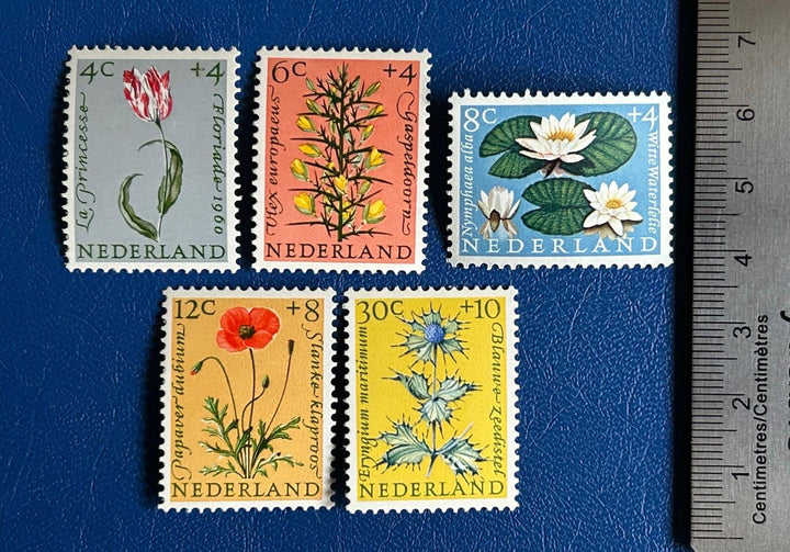 Netherlands - Original Vintage Postage Stamps- 1960 - Flowers - for the collector, artist, crafter - scrapbook, decoupage