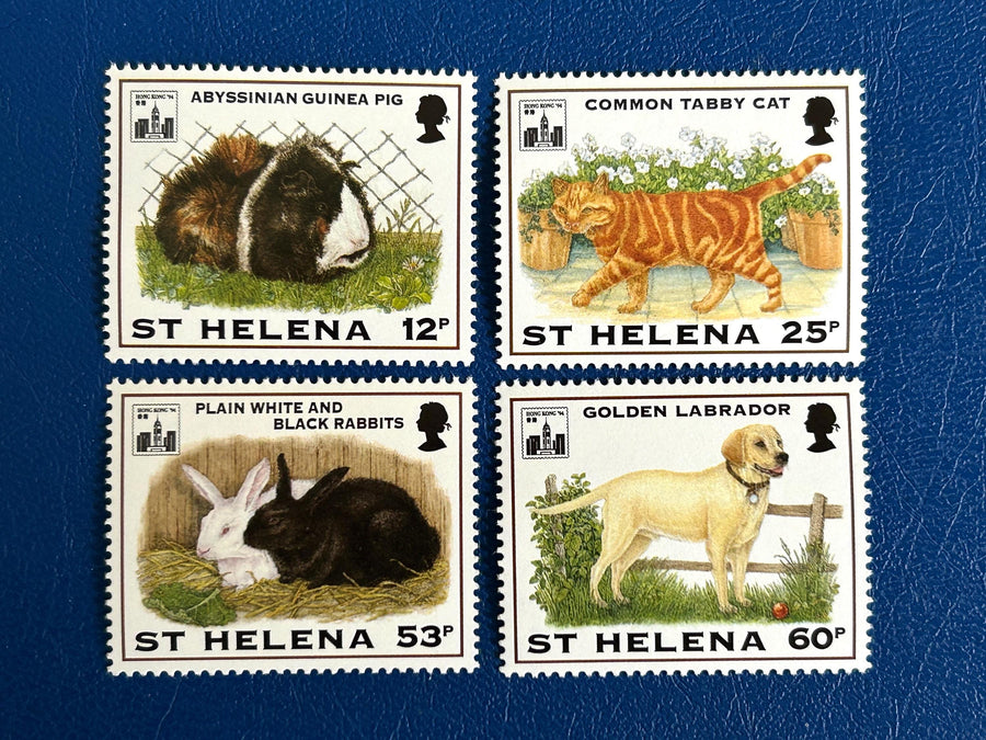 St. Helena - Original Vintage Postage Stamps - 1994 - Pets: Hong Kong 94 Stamp Ex - for the collector, artist or crafter