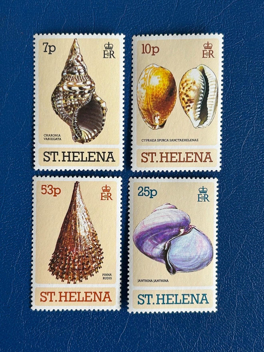 St. Helena - Original Vintage Postage Stamps - 1981 - Seashells - for the collector, artist or crafter