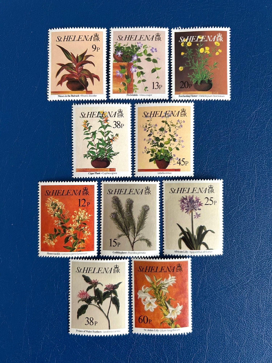 St. Helena - Original Vintage Postage Stamps - 1981 - Seashells - for the collector, artist or crafter