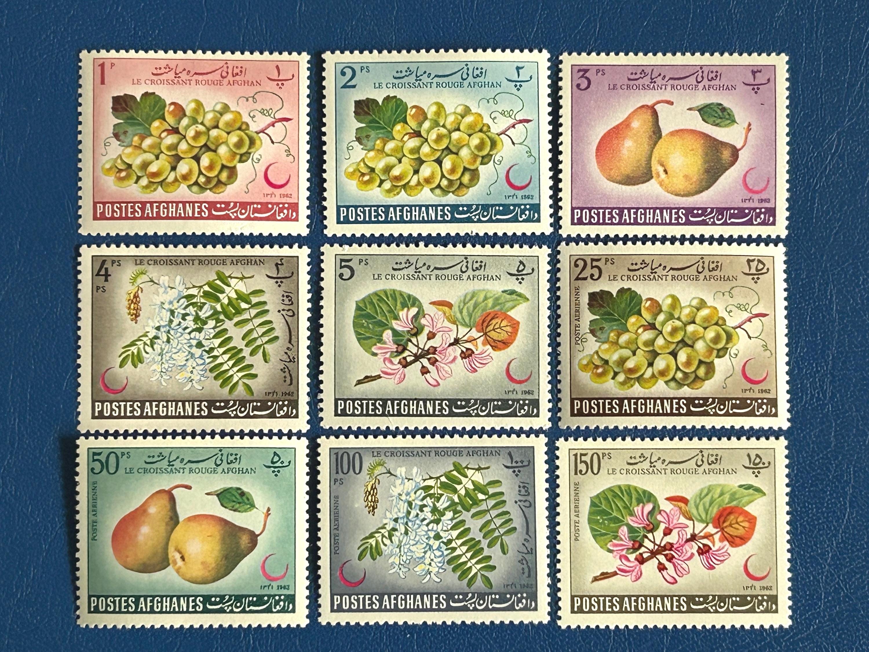 Portugal & Colonies Vintage Stamp Collection