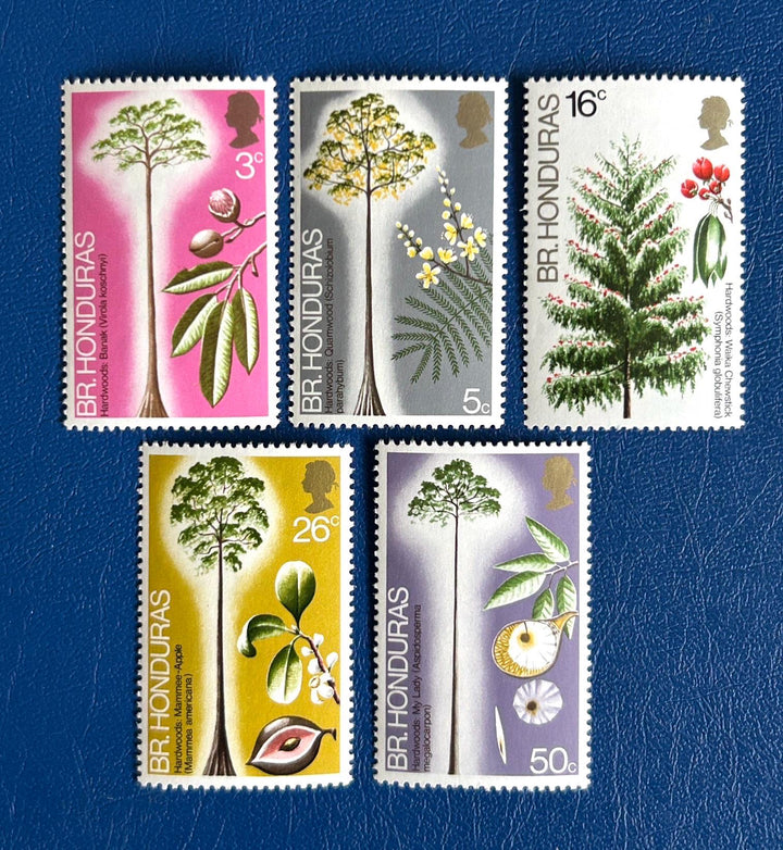 British Honduras - Original Vintage Postage Stamps- 1972 Hardwoods of Belize- for the collector, artist or crafter- collage, decoupage