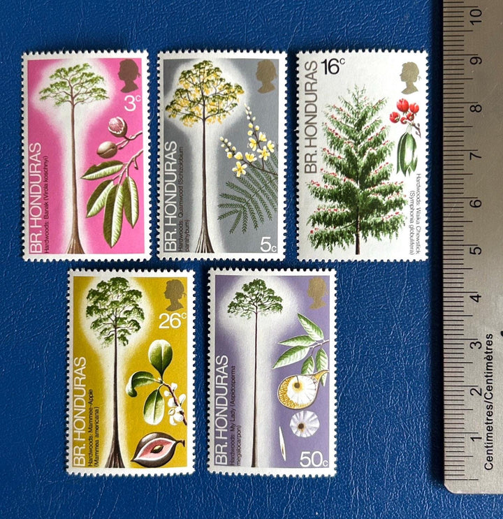British Honduras - Original Vintage Postage Stamps- 1972 Hardwoods of Belize- for the collector, artist or crafter- collage, decoupage