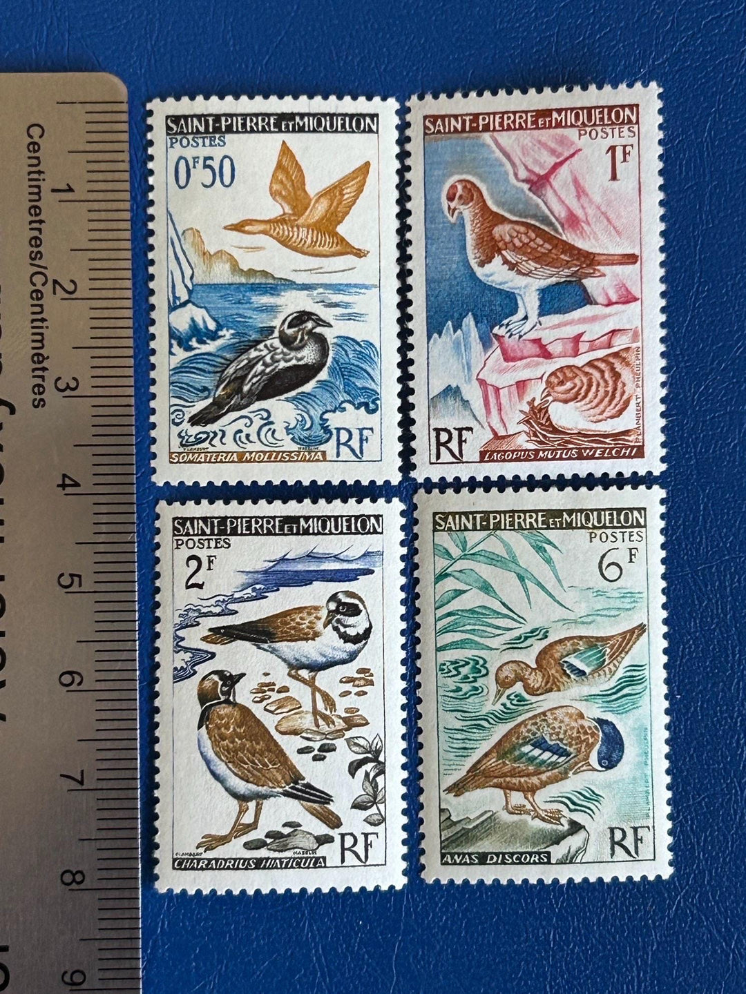 Saint-Pierre et Miquelon - Original Vintage Postage Stamps- 1963 - Definitives - Birds - for the collector, artist or crafter