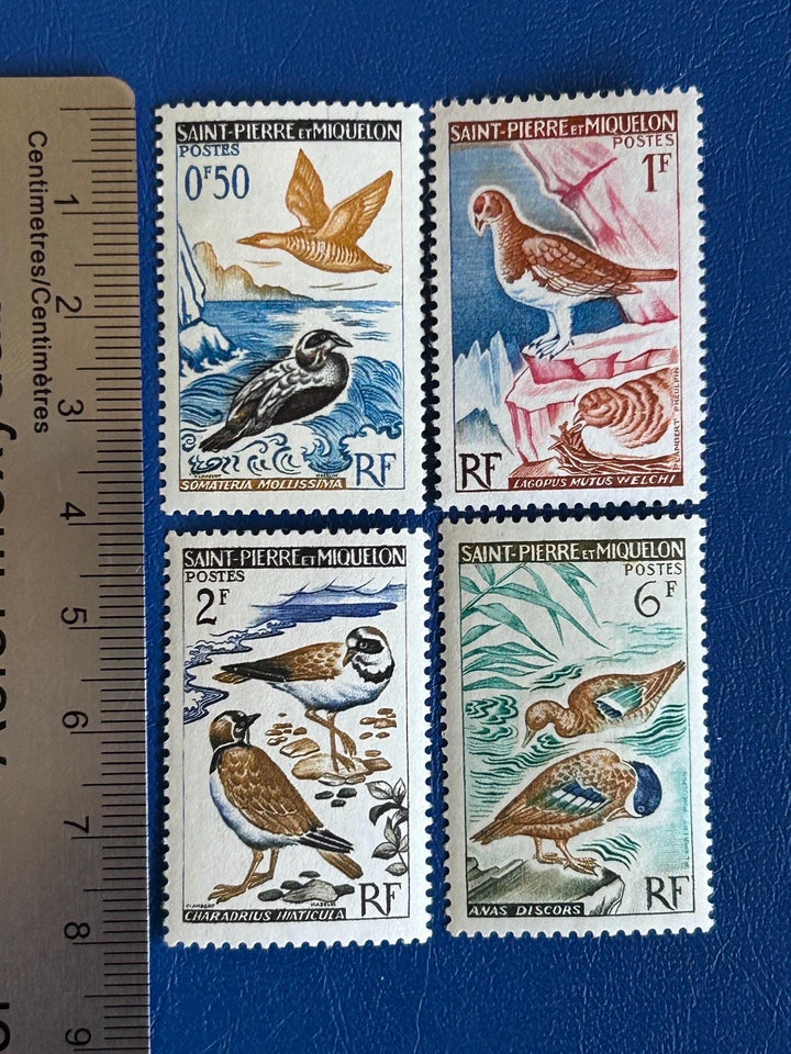 Saint-Pierre et Miquelon - Original Vintage Postage Stamps- 1963 - Definitives - Birds - for the collector, artist or crafter