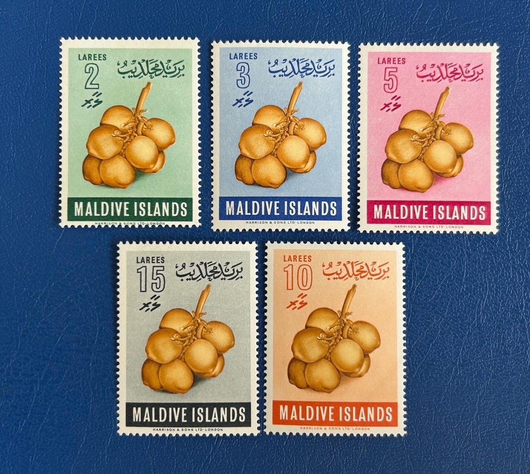 Maldives Islands - Original Vintage Postage Stamps- 1961 - Hard Shell Fruit - MH - for the collector, artist or collector