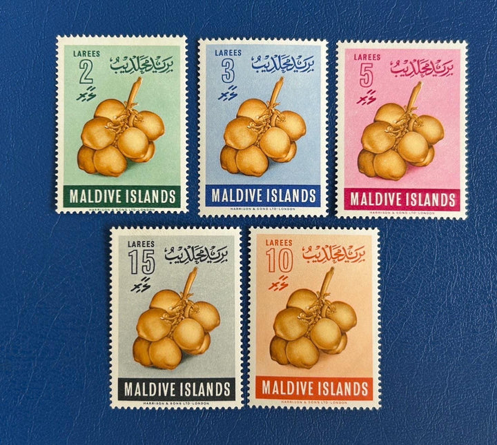 Maldives Islands - Original Vintage Postage Stamps- 1961 - Hard Shell Fruit - MH - for the collector, artist or collector
