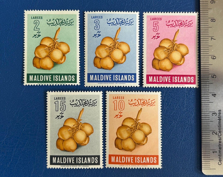 Maldives Islands - Original Vintage Postage Stamps- 1961 - Hard Shell Fruit - MH - for the collector, artist or collector