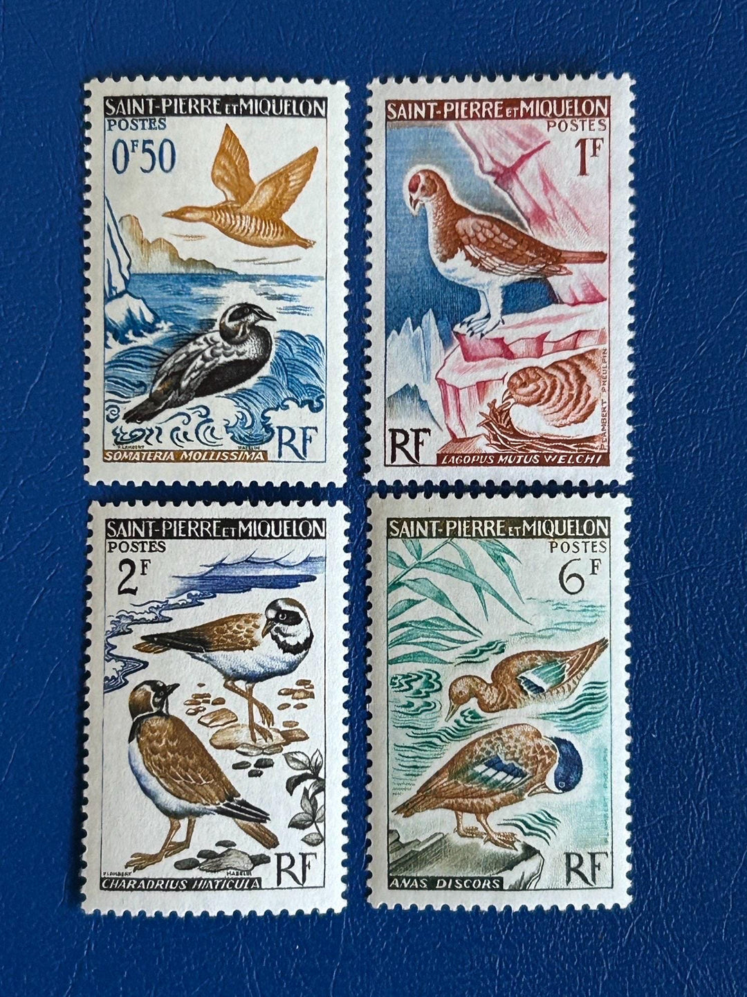 Saint-Pierre et Miquelon - Original Vintage Postage Stamps- 1963 - Definitives - Birds - for the collector, artist or crafter
