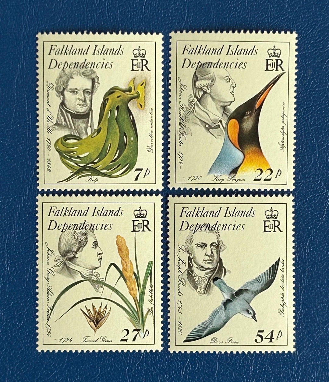 Falkland Islands Dependencies - Original Vintage Postage Stamps - 1985 - Naturalists - for the collector, crafter or artist