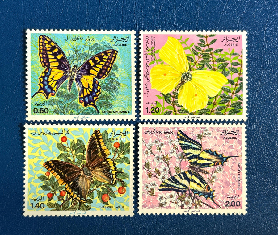 Algeria - Original Vintage Postage Stamps- 1981- Butterflies - for the collector, artist or crafter - scrapbooks, collage, decoupage