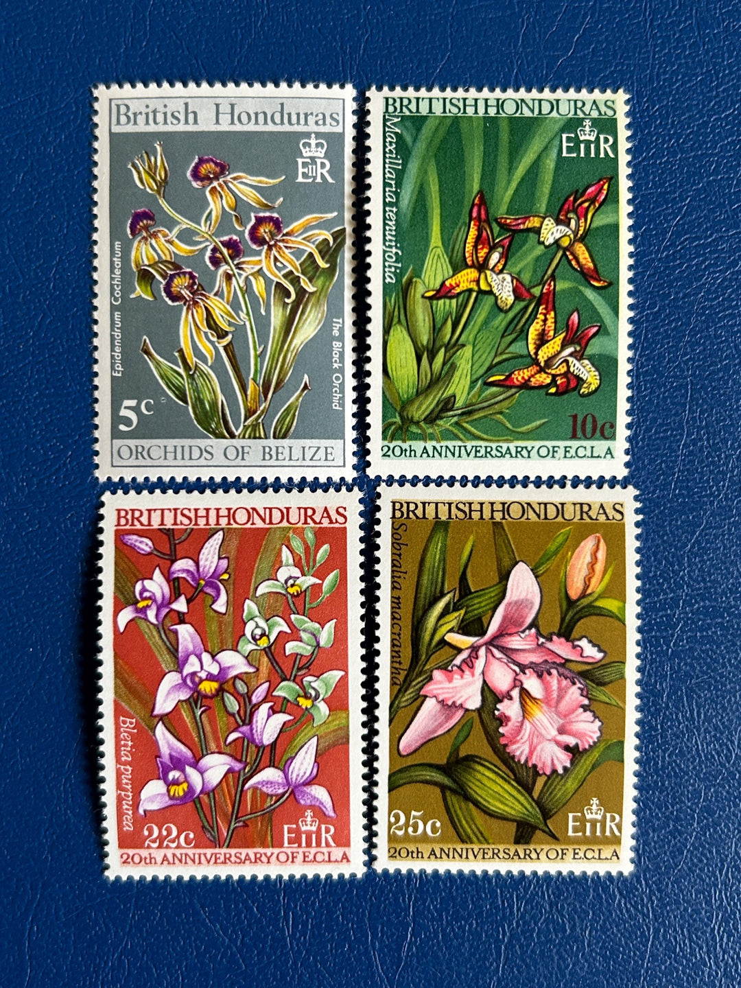 British Honduras - Original Vintage Postage Stamps- 1968 Orchids of Be ...
